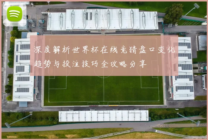 深度解析世界杯在线竞猜盘口变化趋势与投注技巧全攻略分享