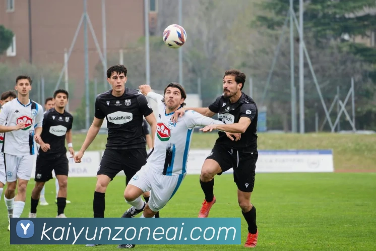 开云平台展示图