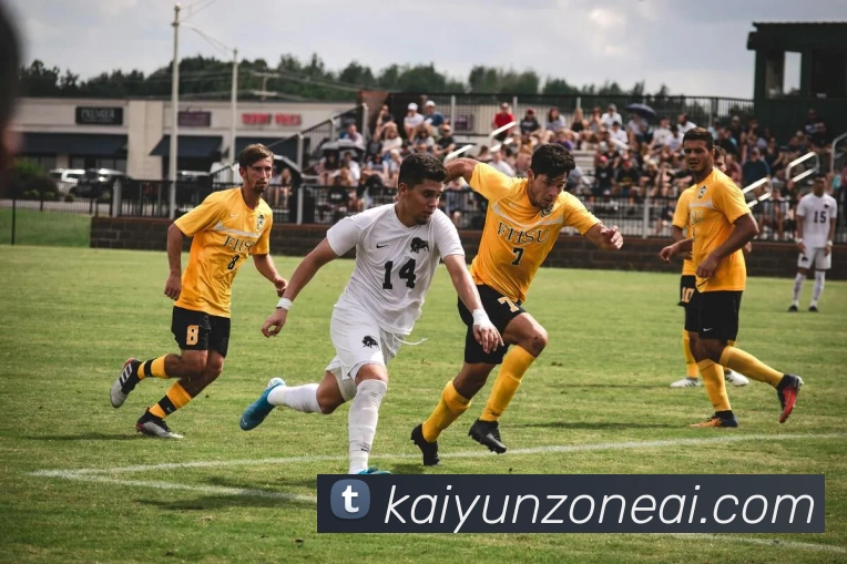 开云平台使用体验如何探索其优势与潜力解析